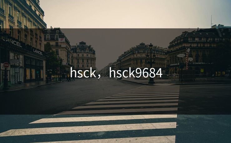 hsck,hsck9684 hsck,hsck9684