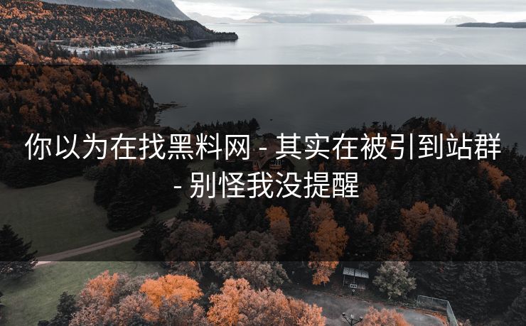 你以为在找黑料网 - 其实在被引到站群 - 别怪我没提醒