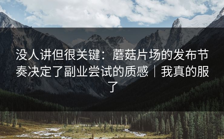 没人讲但很关键：蘑菇片场的发布节奏决定了副业尝试的质感｜我真的服了